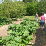 jardin du marais